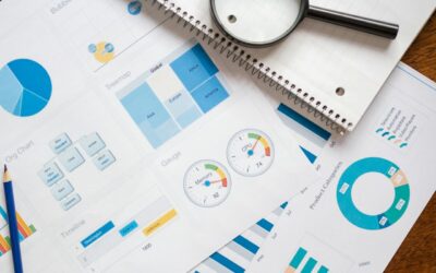 due-dilligence-report-2